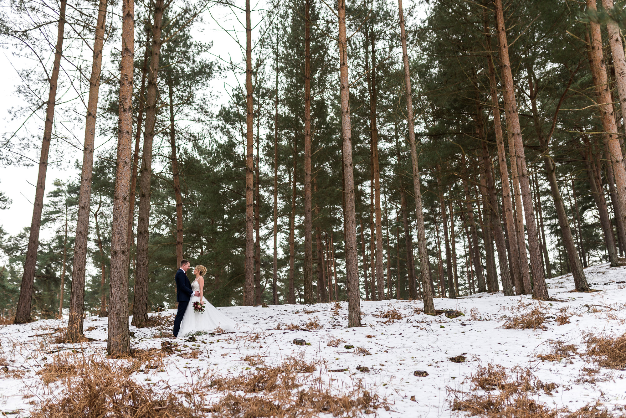 DM-Photography DM-Photography