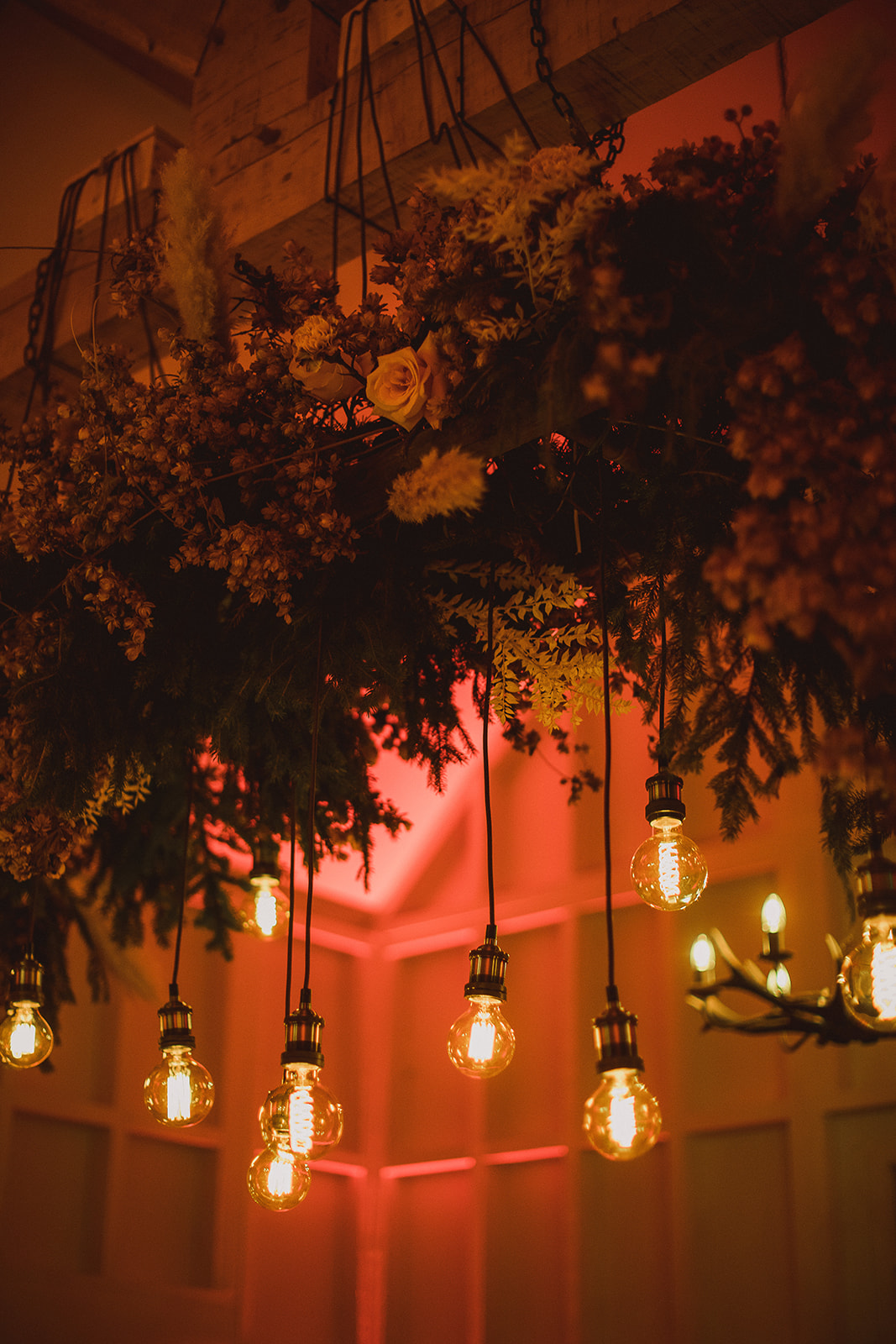 The Springles The Springles