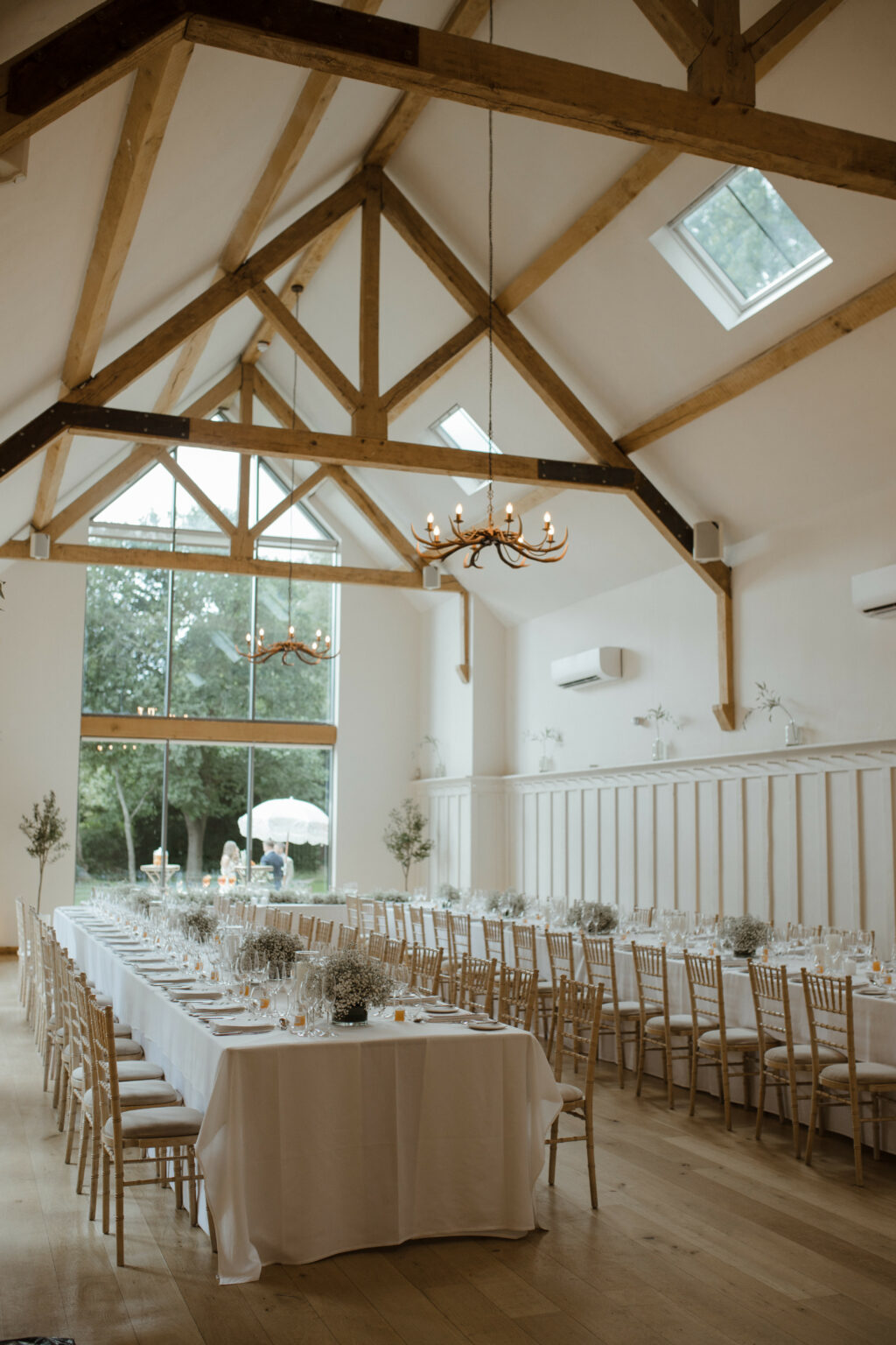 Alex & Alex Alex & Alex