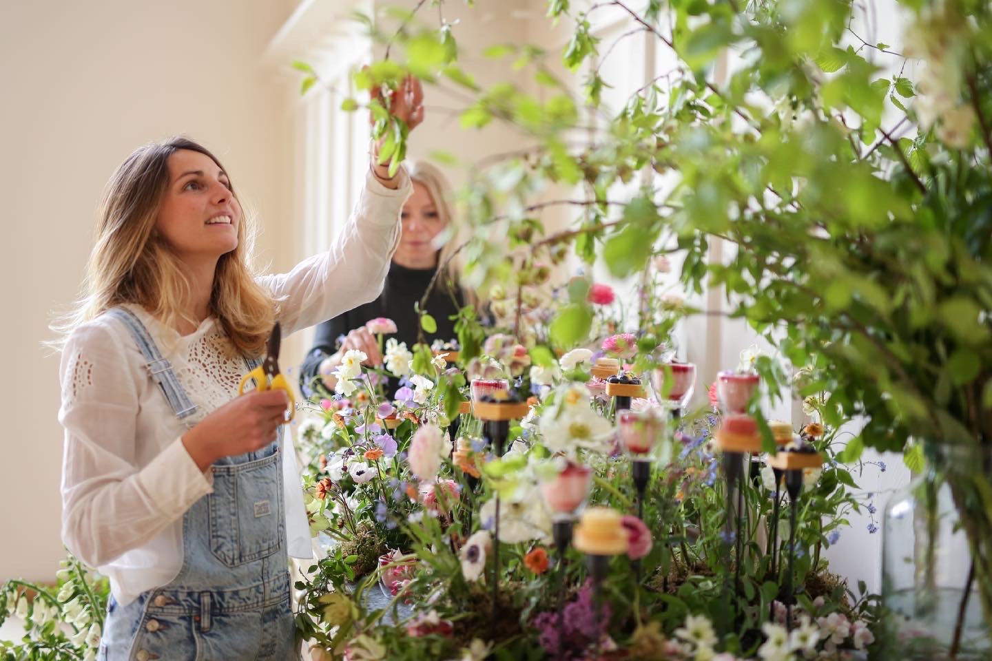 B4731DE3-40BD-4129-A0C7-13D4CC0D0C3B